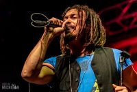 Magpie Salute-11
