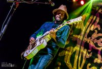 Magpie Salute-28