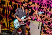 Magpie Salute-3