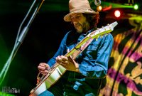 Magpie Salute-37