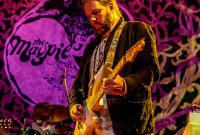 Magpie Salute-43