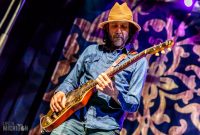 Magpie Salute-7