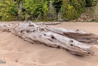 Manistee-June-2025-12