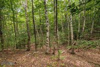 Manistee-June-2025-13