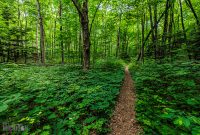 Manistee-June-2025-17