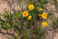 Manistee-June-2025-21