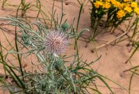 Manistee-June-2025-22