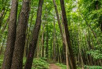 Manistee-June-2025-3