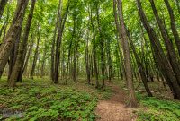 Manistee-June-2025-4