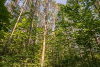 Manistee-June-2025-46