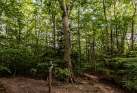 Manistee-June-2025-5