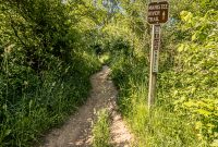 Manistee-June-2025-52