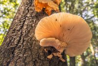 Manistee-June-2025-54