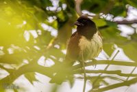 Manistee-June-2025-6