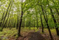 Manistee-June-2025-65