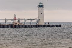 Manistee-Area-Birds-2026-56