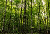 Marquette-hikes-2023-22