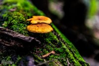 Marquette-hikes-2023-26