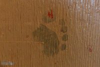 Marquette-Maritime-Museum-2023-35