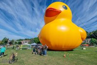 Marquette-Sails-History-Beer-2022-8