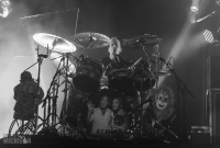 Mastodon @ Royal Oak