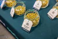 MBG-Conf-2023-Day1-113