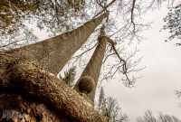 McCourtie-Park-3