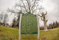 McCourtie-Park-4