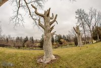 McCourtie-Park-5