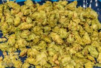 Michigan-Brewers-Guild-Conference-Day-1-2022-18