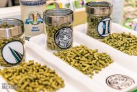 Michigan-Brewers-Guild-Conference-Day-1-2022-38