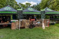 Michigan-Brewers-Guild-Summer-Beer-Fest-2019-7