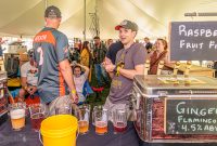 Summer-Beer-Fest-2022-37