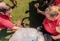 Summer-Beer-Fest-2022-412