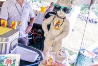 Summer-Beer-Fest-2023-Day1-52