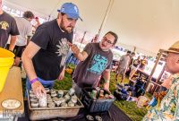 Summer-Beer-Fest-2024-Day1-32