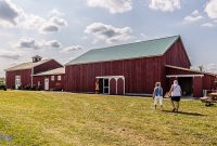 Michigan-Hard-Cider-Tour-2023-10