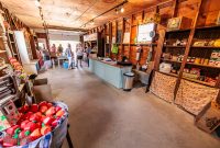 Michigan-Hard-Cider-Tour-2023-4