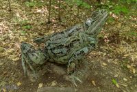 Nina-and-the-Buffalo-Riders-Legacy-Art-Park-5