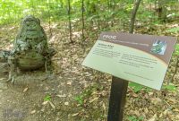Nina-and-the-Buffalo-Riders-Legacy-Art-Park-6
