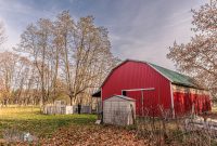 Michigan-Merinos-2023-1