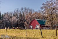 Michigan-Merinos-2023-37