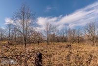 Michigan-Merinos-2023-43