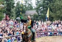 Michigan Renaissance Festival! 2015