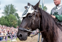 Michigan Renaissance Festival! 2015