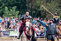 Michigan Renaissance Festival! 2015