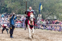 Michigan Renaissance Festival! 2015