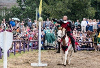 Michigan Renaissance Festival! 2015