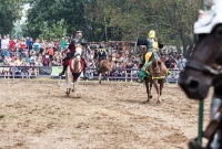 Michigan Renaissance Festival! 2015