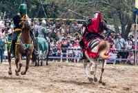Michigan Renaissance Festival! 2015